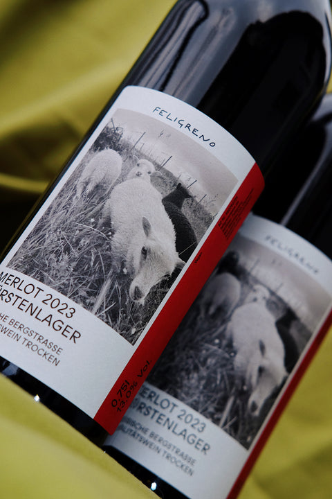 Merlot Auerbacher Fürstenlager 2023 trocken