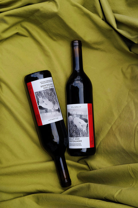 Merlot Auerbacher Fürstenlager 2023 trocken