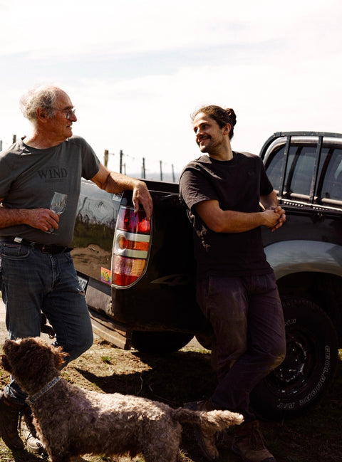 Der Rebschnitt II (Workshop) 31.01.2026 Zwingenberg