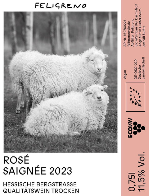 Rosé Saignée 2023 trocken