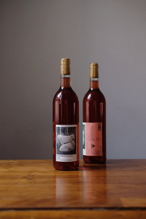 Rosé Résistance 2024 trocken