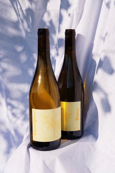 2024 Sauvignon Blanc Starkenburger Landwein trocken