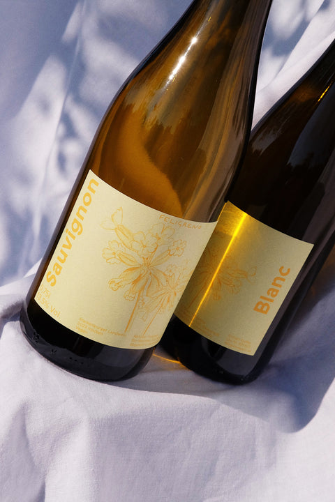 2024 Sauvignon Blanc Starkenburger Landwein trocken