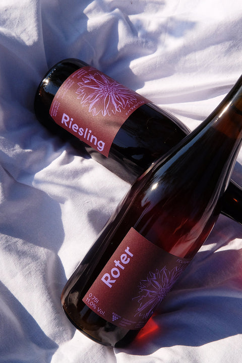 Roter Riesling Orange 2022