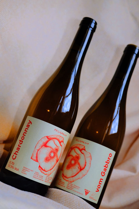 Chardonnay vom Gabbro 2023 trocken